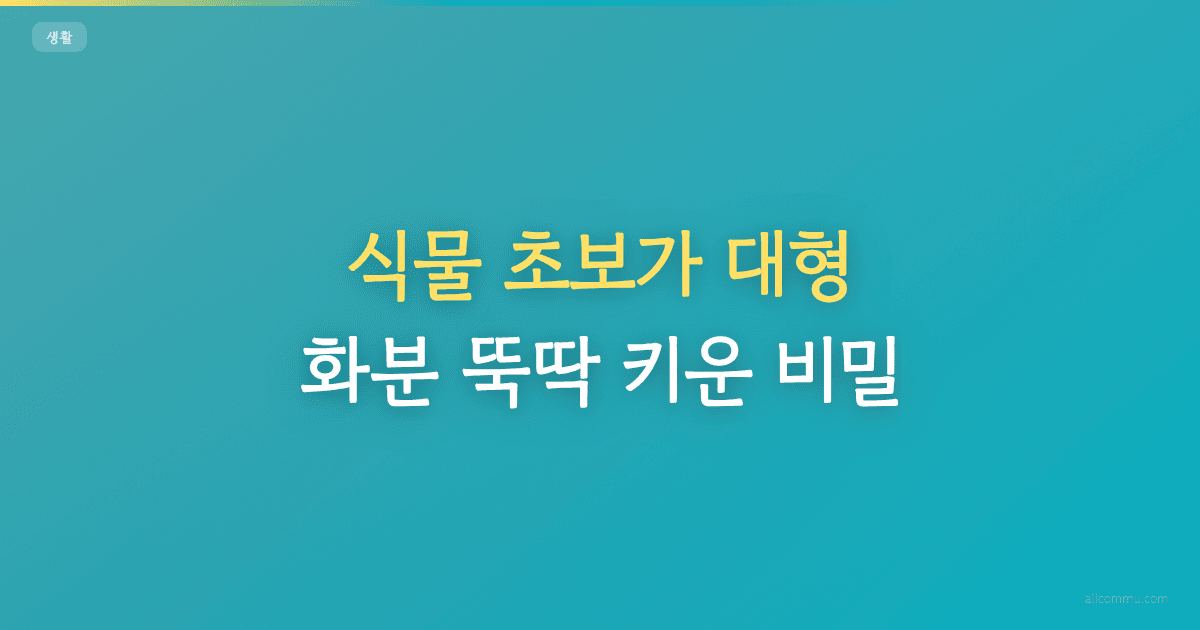 식물 초보가 대형 화분 뚝딱 키운 비밀