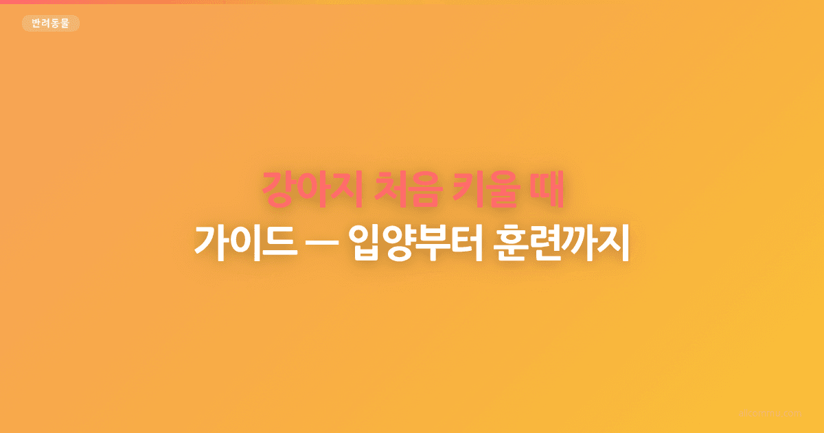강아지 처음 키울 때 가이드, 입양부터 훈련까지