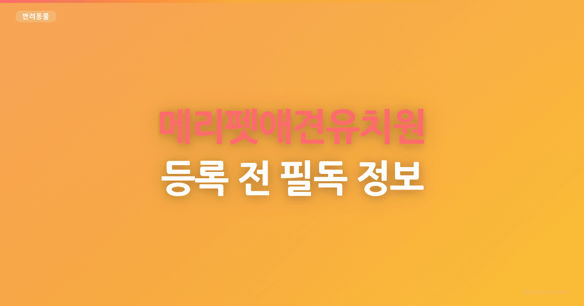 메리펫애견유치원 등록 전 필독 정보